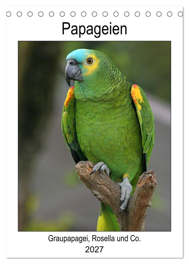 Papageien - Graupapagei, Rosella und Co. (Tischkalender 2027 DIN A5 hoch), CALVENDO Monatskalender