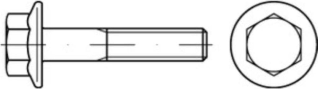 Reyher 6kt.schr. mit Flansch DIN 6921 A 4 M 5x20 (200 Stück)