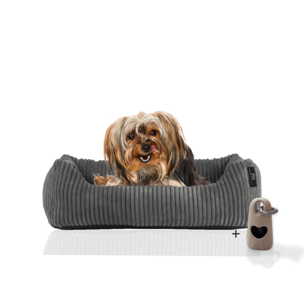Rohrschneider Hundebett waschbar für kleine und mittelgroße Hunde mit Hundekissen Cord inkl. Gassibeutel, Farbe:grau 55cm, Muster:Cordstoff breit