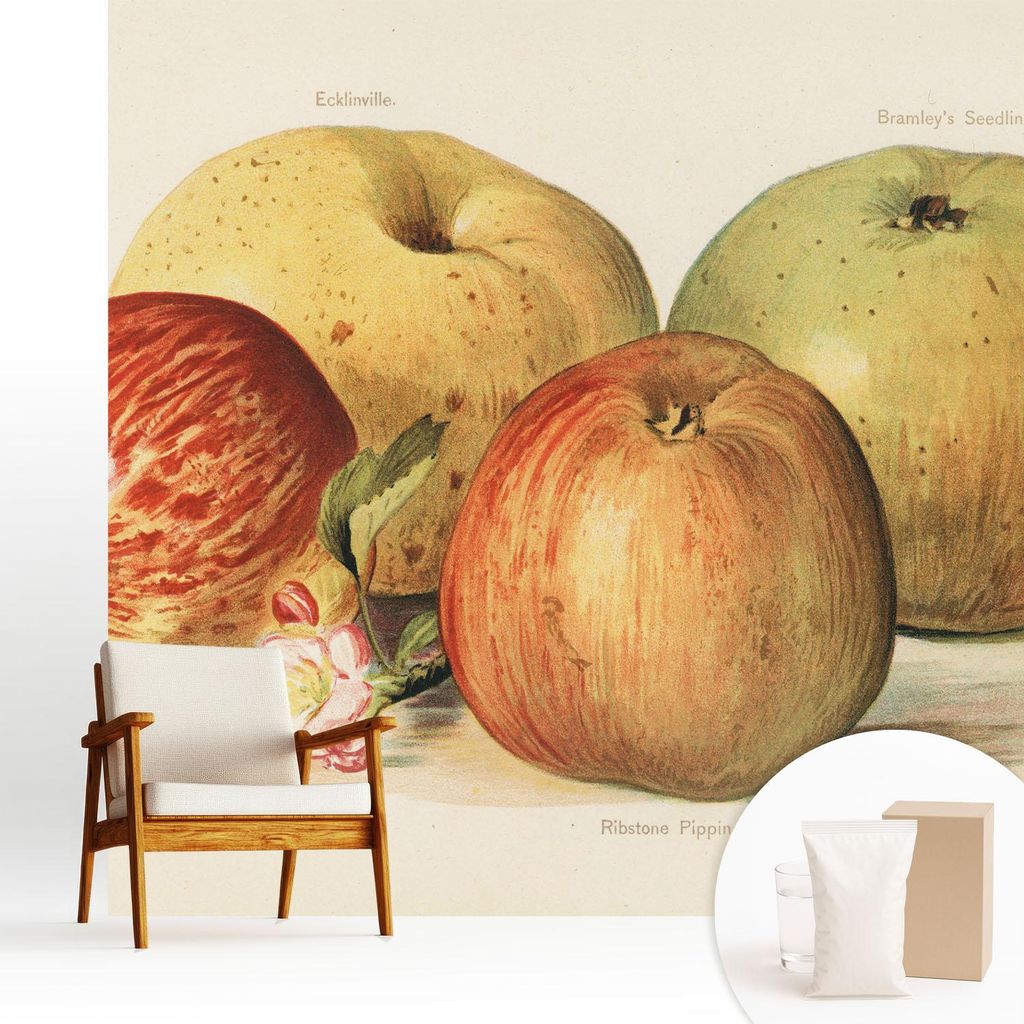 Fototapete - 250x250 cm - Tapete - Wandtapete - Wandbilder - Dekofolie - Tapete Folie - Wand - Dekoration - Wohnzimmer - Apfelblüten