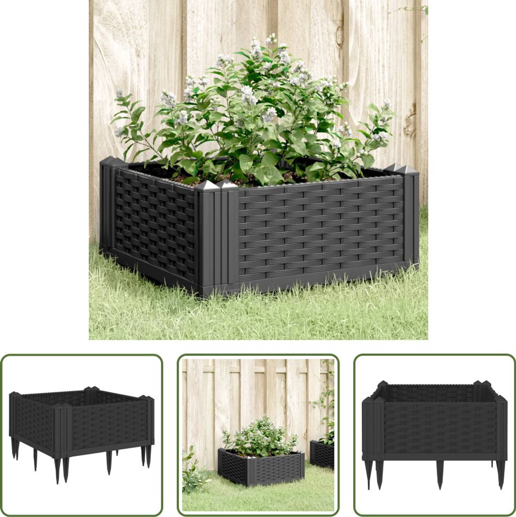 The Living Store Pflanzkasten mit Erdspießen Schwarz Produktbild 