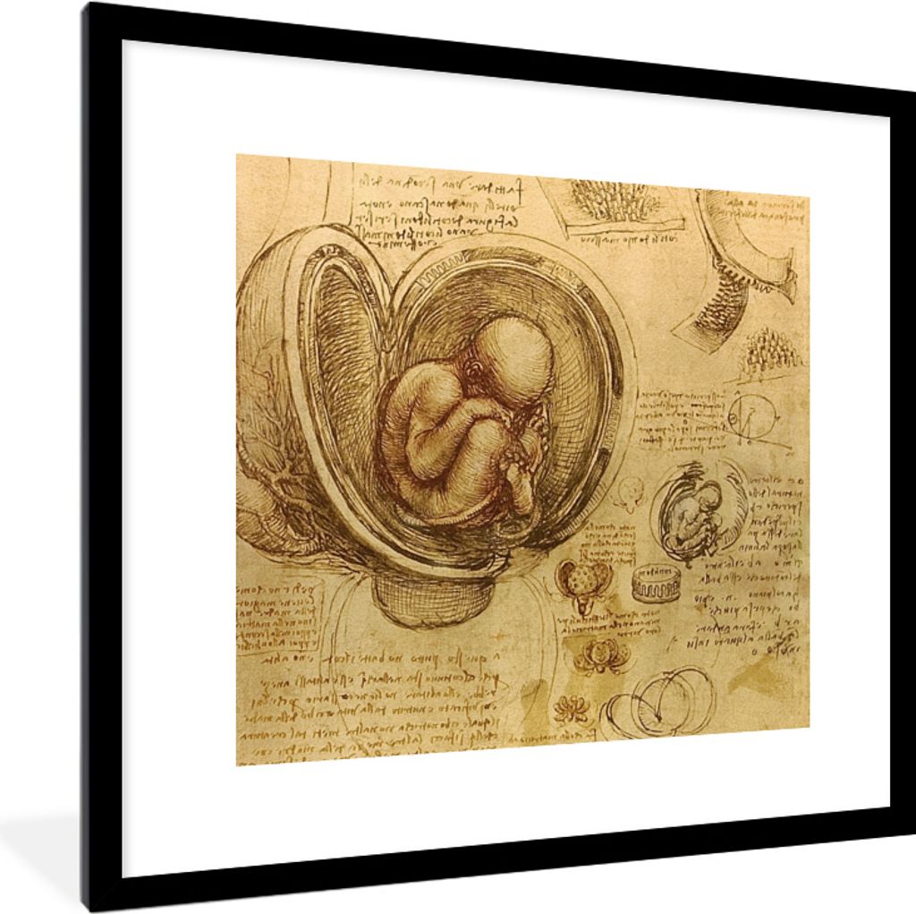 MuchoWow® MuchoWow® Gerahmtes Poster Leonardo da Vinci Produktbild 