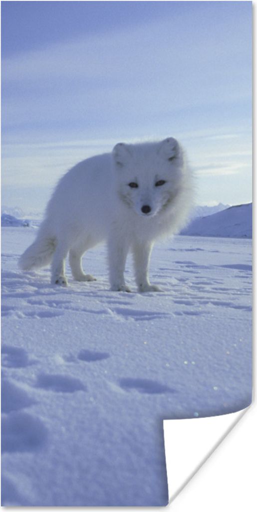 MuchoWow Poster Fuchs - Schnee - Berge 40x80 cm - Dekoration