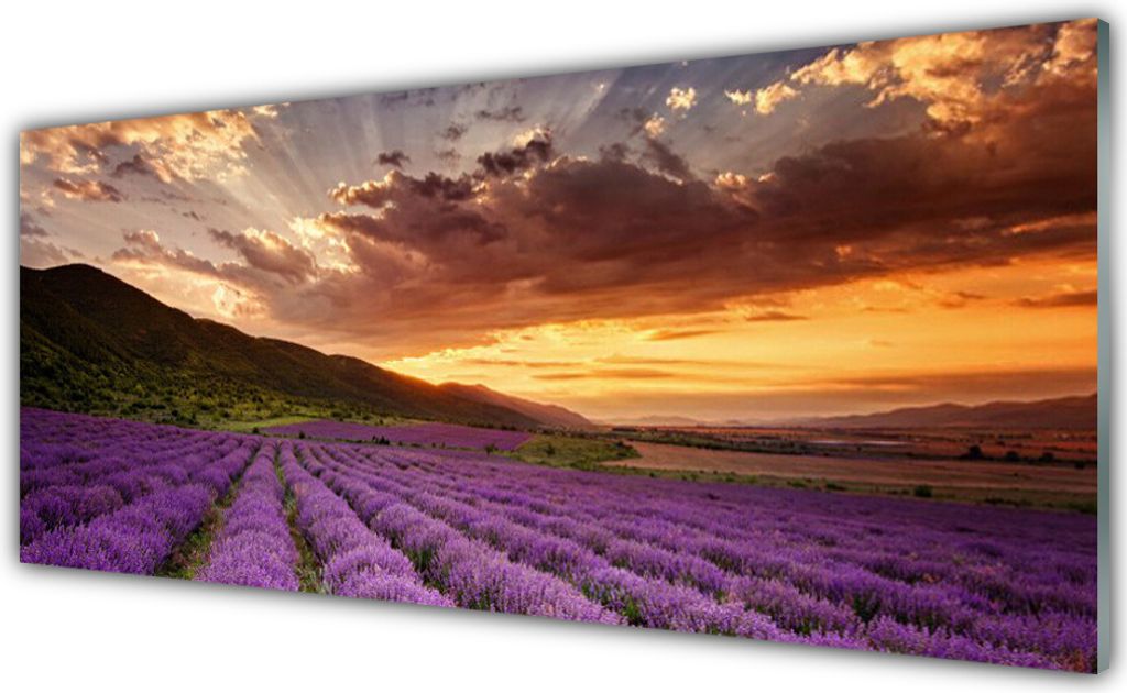 Acrylglasbilder 125x50 Wandbild Druck Gebirge Wiese Blumen Produktbild 
