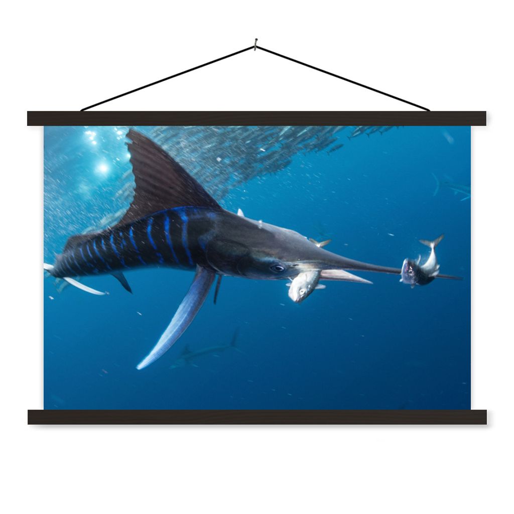 MuchoWow Textilposter Schwertfisch - Blau - Wasser 90x60 cm mit schwarzem Rahmen - Aufhängungssatz