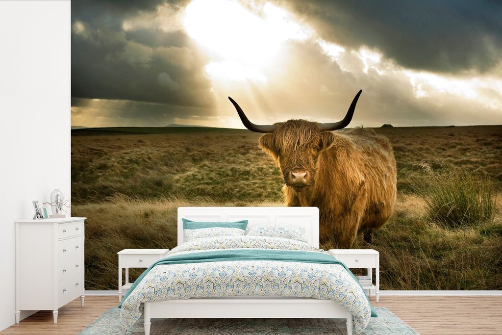 MuchoWow Fototapete für Wohnzimmer oder Schlafzimmer Wandtapete Vinyl Motivtapete Schottischer Hochländer - Sonne - Gras - 450x300 cm - Gemusterte
