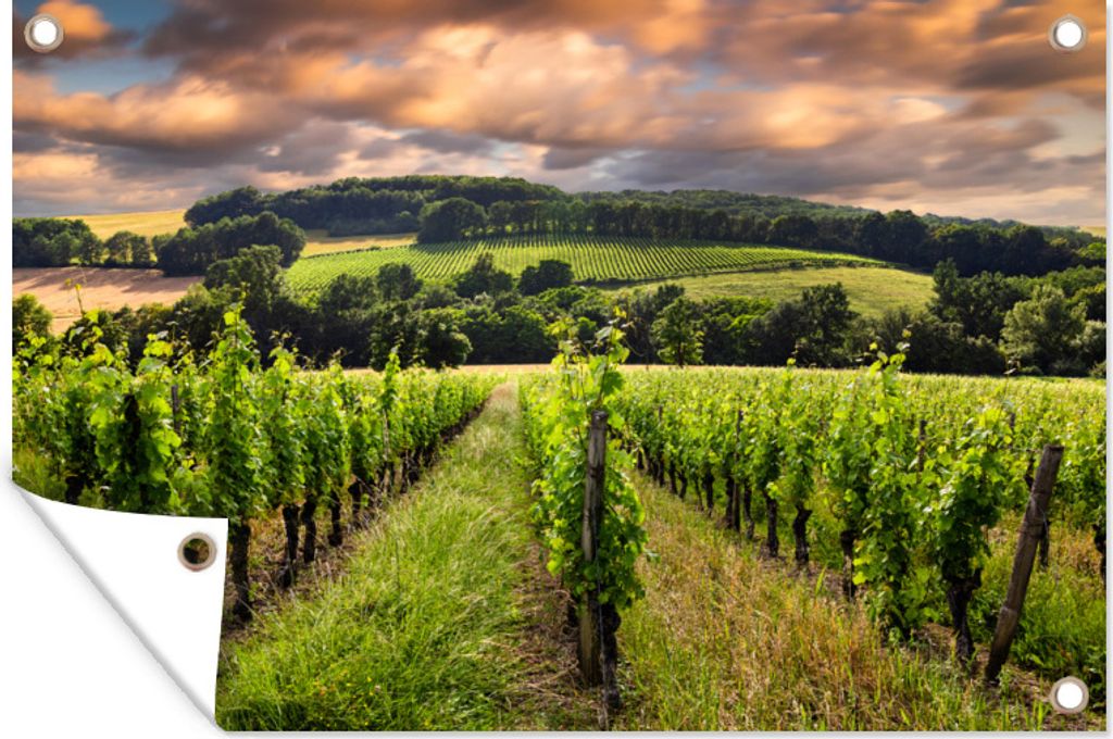 MuchoWow 90x60 cm Outdoor-Poster Gartendeko Sichtschutz Garten Poster für den Garten Weinberge von Bordeaux in Nouvelle-Aquitaine in Frankreich