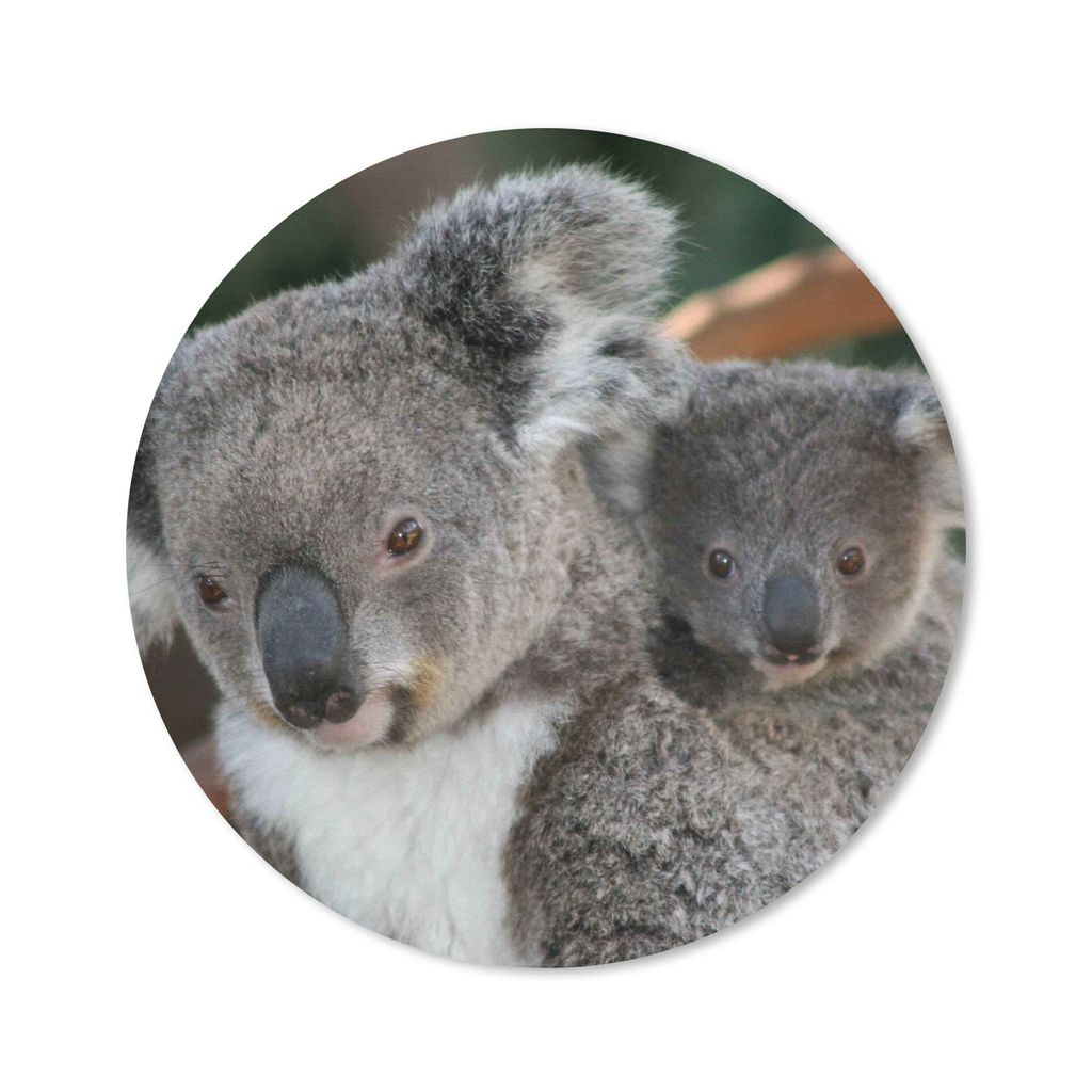 MuchoWow Mauspad Mousepad Koalas - Vater - Sohn - Jungen - Mädchen 20x20 cm - Mousepads - Maus Mat - Pad - Mausunterlage - Schreibtischmatte