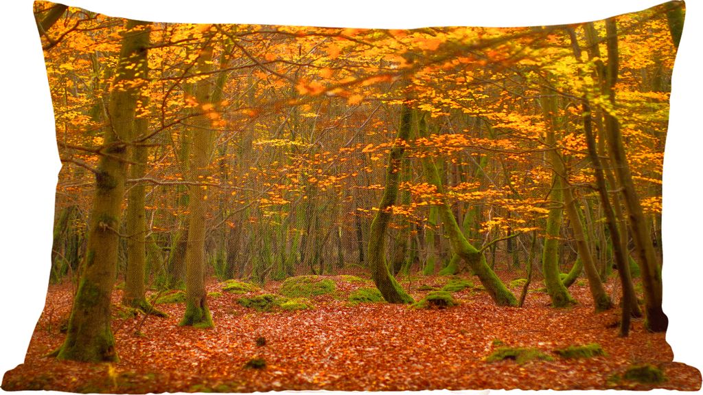 MuchoWow Zierkissen Sofakissen Wohnzimmer Dekokissen 50x30 cm Die dichten Wälder des New Forest National Park in England - Wohnzimmerdekoration ...