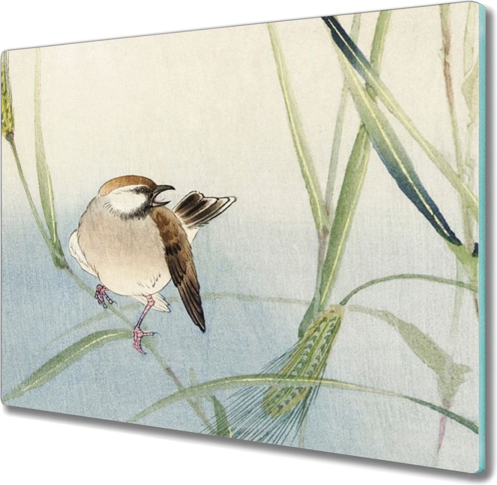 Coloray Hackbrett Küchenbrett Kochplattenabdeckung Schneidebrett Herdabdeckplatte 60x52 cm - Tier Vogel Spatz