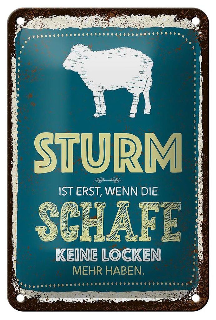Blechschild Spruch Sturm wenn Schafe keine Locken 12x18cm Produktbild 