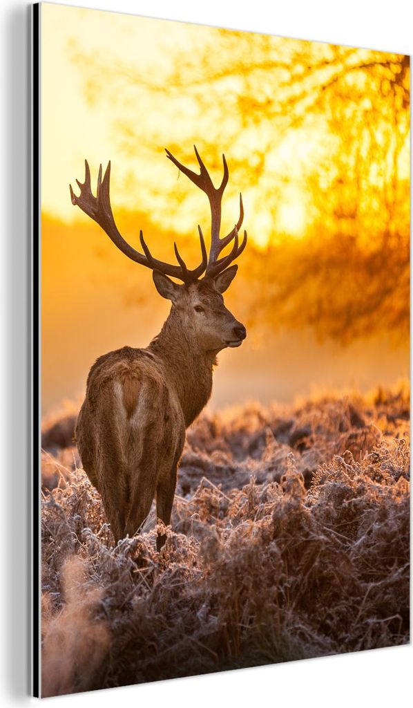 MuchoWow Wanddekoration Metall Metallbild Wandkunst 30x40 cm Hirsche - Tiere - Sonnenuntergang - Winter - Heidekraut - Natur MuchoWow Aluminium Gem...