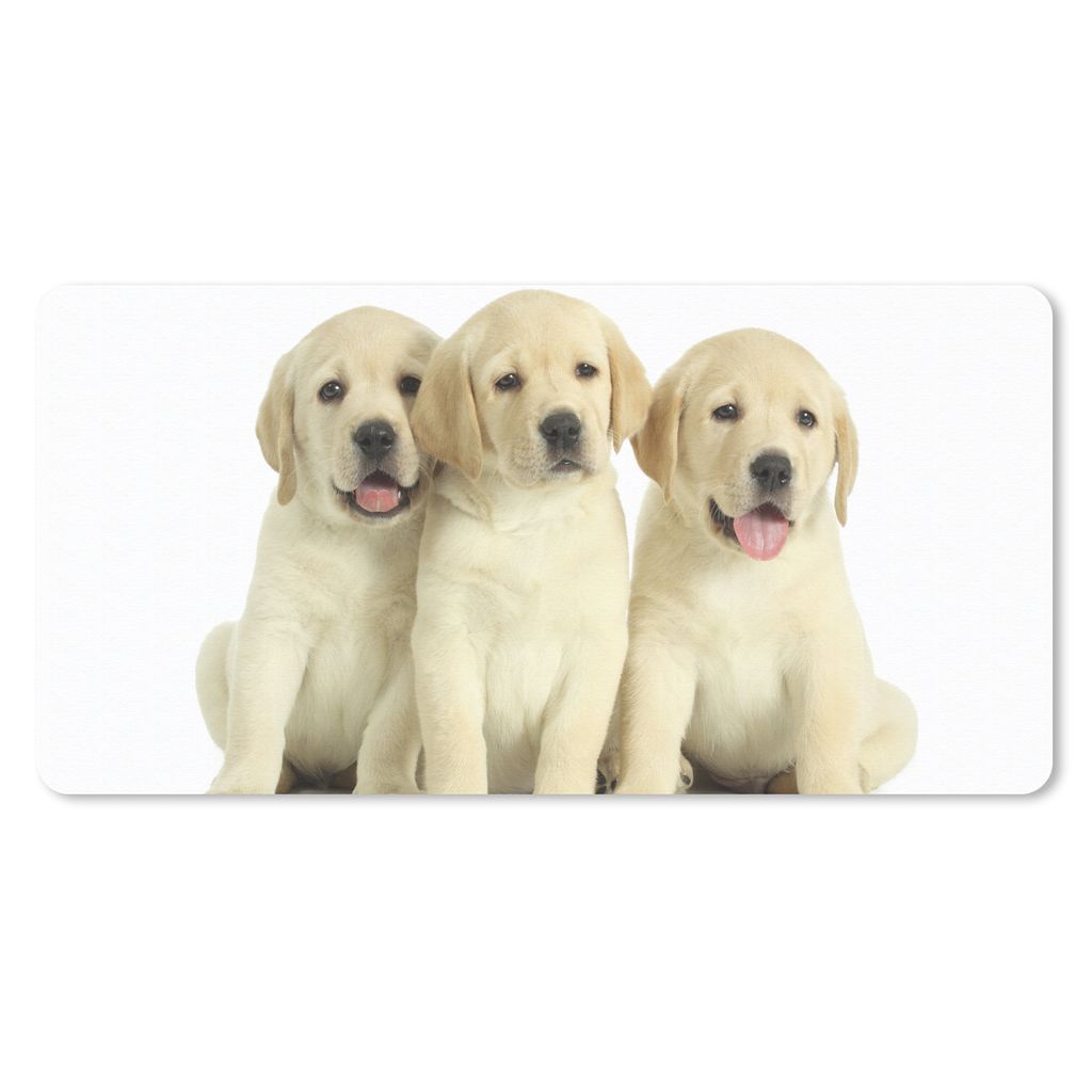 MuchoWow Mauspad Mousepad Bezaubernde Labrador Retriever Welpen 60x30 cm - Mousepads - Maus Mat - Pad - Mausunterlage - Nachhaltig