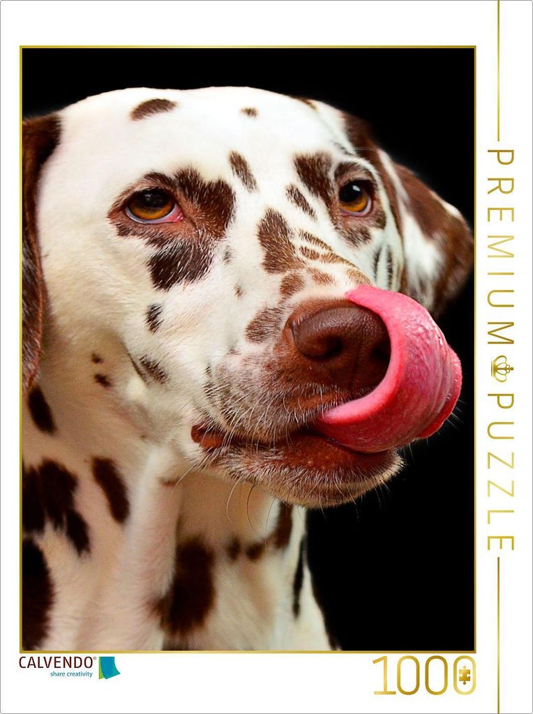 CALVENDO Puzzle Dalmatiner | 1000 Teile Lege-Größe 64x48cm Foto-Puzzle für glückliche Stunden