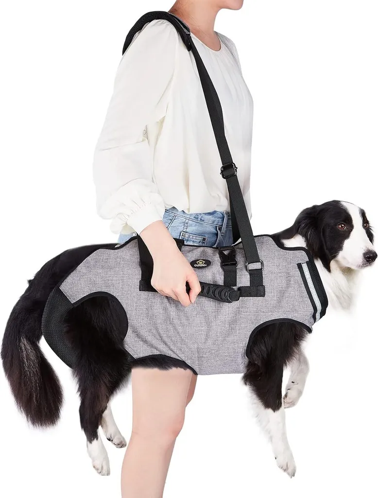 Harnais chien XXL imperméable et réglable avec bandoulière de transport