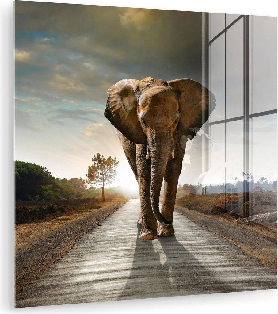 MuchoWow Glasbilder - Bilder auf Wandbild - Foto auf Glas Elefant - Straße - Tiere - Sonnenuntergang - Landschaft 90x90 cm Wanddekoration aus Glas...