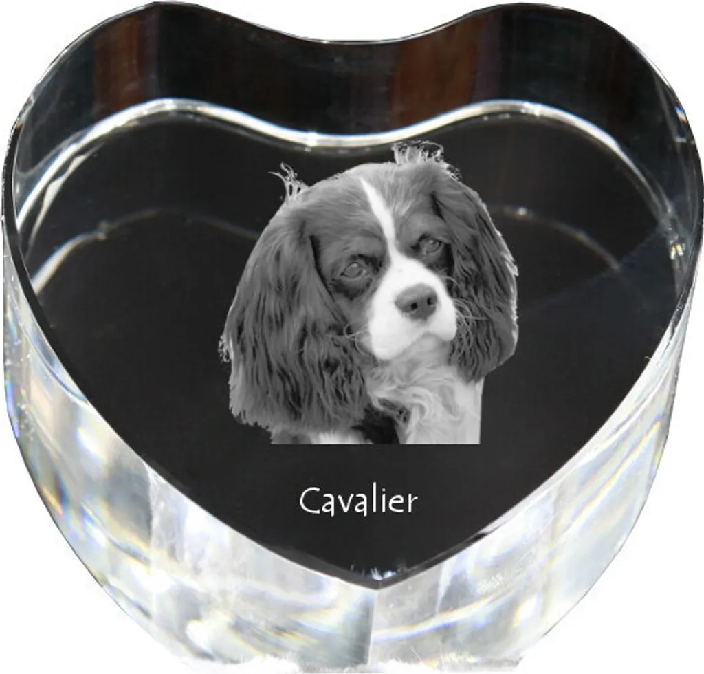 Cadre Cœur en Cristal Art-Dog : Portrait Cavalier King Charles Unique
