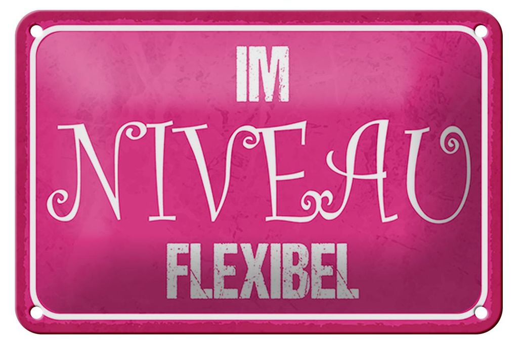 Blechschild Spruch 18x12cm Im NIVEAU flexibel Produktbild 