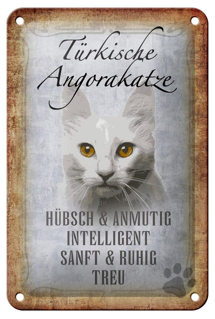 Blechschild Spruch 12x18cm türkische Angorakatze Schild