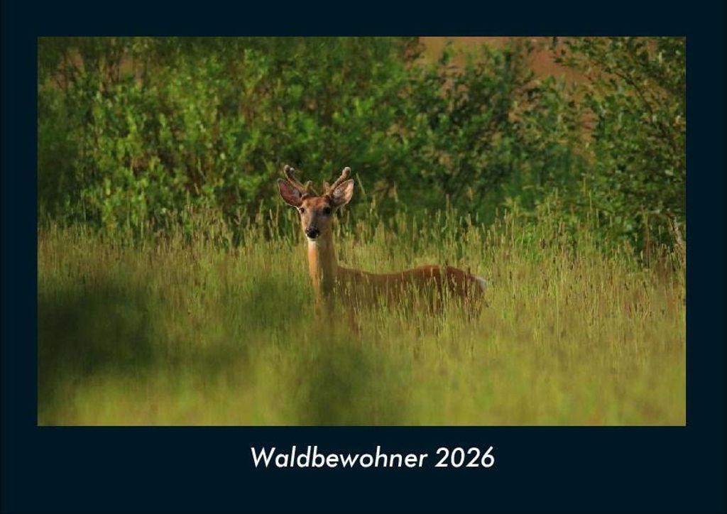 Waldbewohner 2026 Fotokalender - Querformat DIN A4, Monatskalender mit Bild-Motiven von Haustieren, Bauernhof, wilden Tieren und Raubtieren