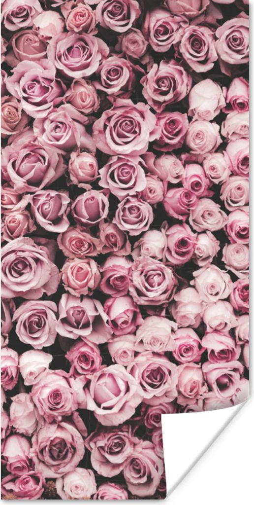 MuchoWow Poster Blumen - Rosen - Natur - Rosa - Botanisch 60x120 cm - Wandschmuck