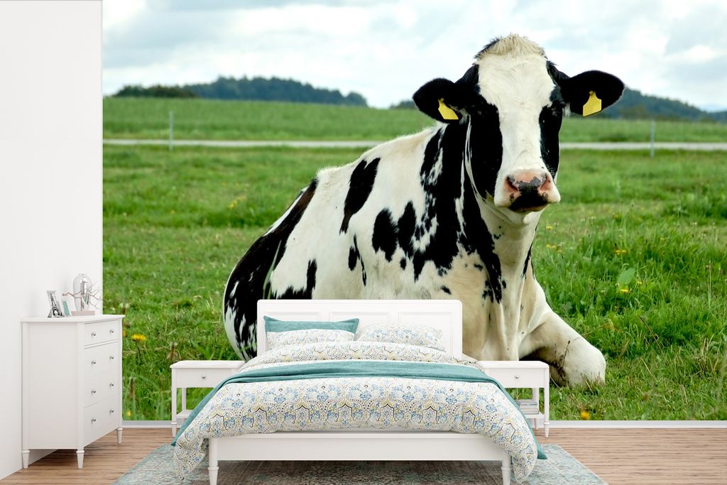 MuchoWow Fototapete für Wohnzimmer oder Schlafzimmer Wandtapete Vinyl Motivtapete Kuh - Gras - Tiere - Berg - 420x280 cm - Zimmer für Kinder