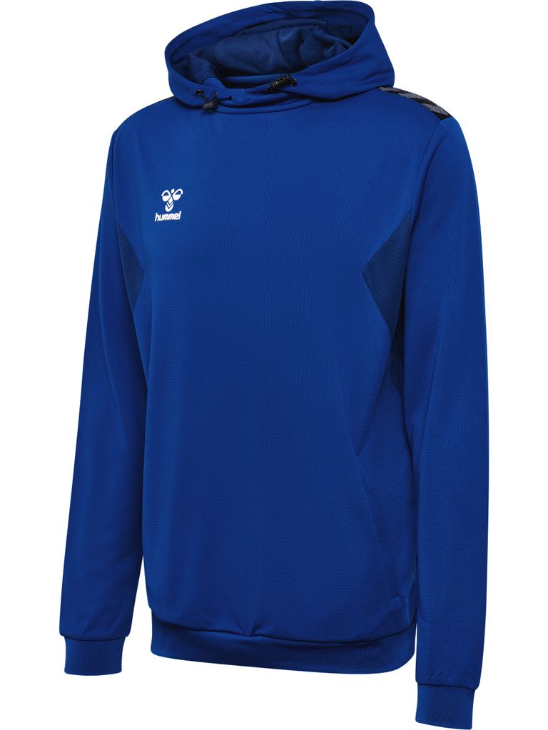 hmlAUTHENTIC PL HOODIE