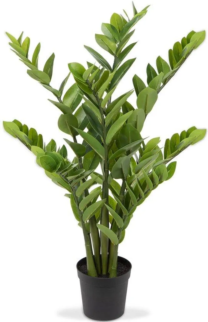 Grand Zamioculcas artificiel 100cm, feuillage dense et pot inclus