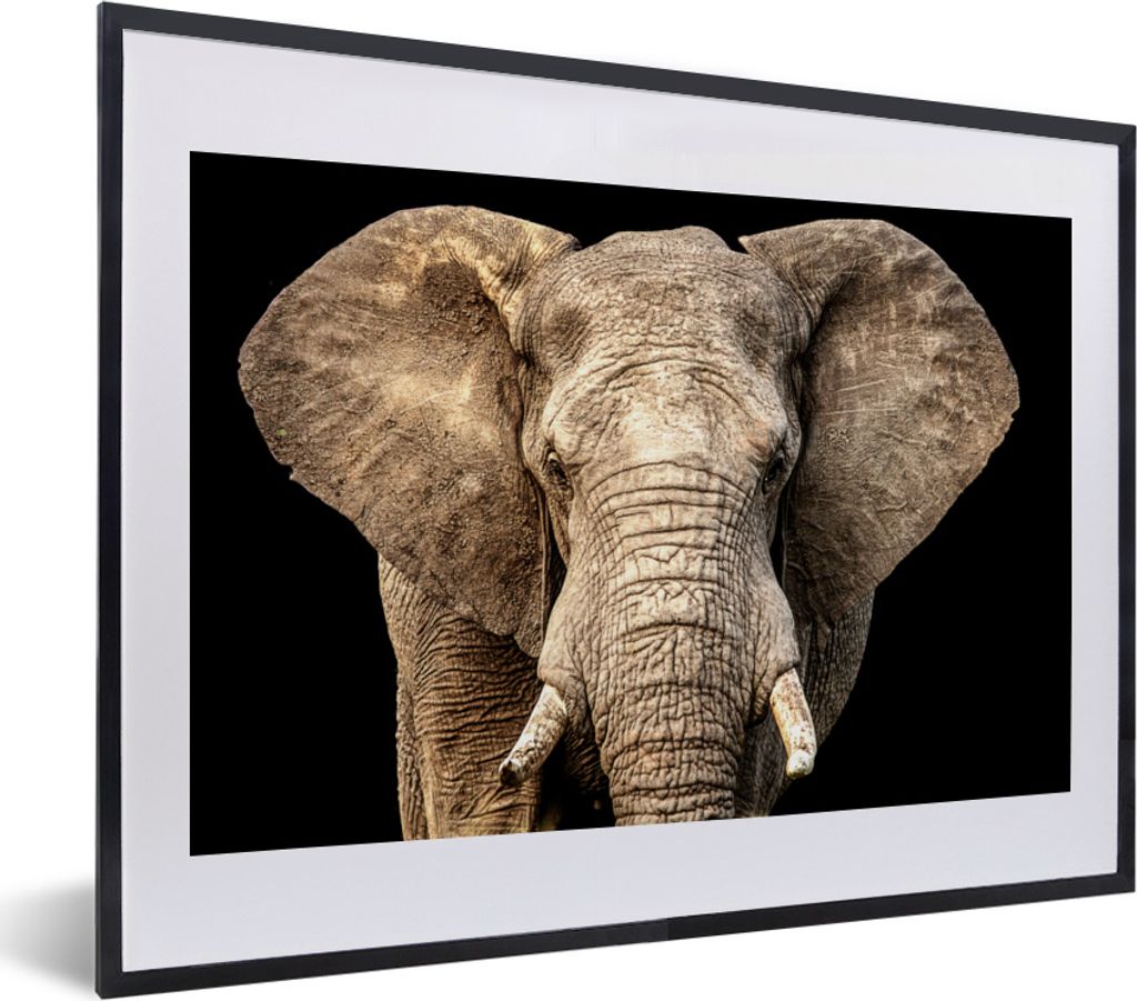 MuchoWow MuchoWow Gerahmtes Poster Elefant - Porträt - Schwarz 40x30 cm - Poster mit zchwarzem Bilderrahmen - Bilderrahmen - Poster im Rahmen
