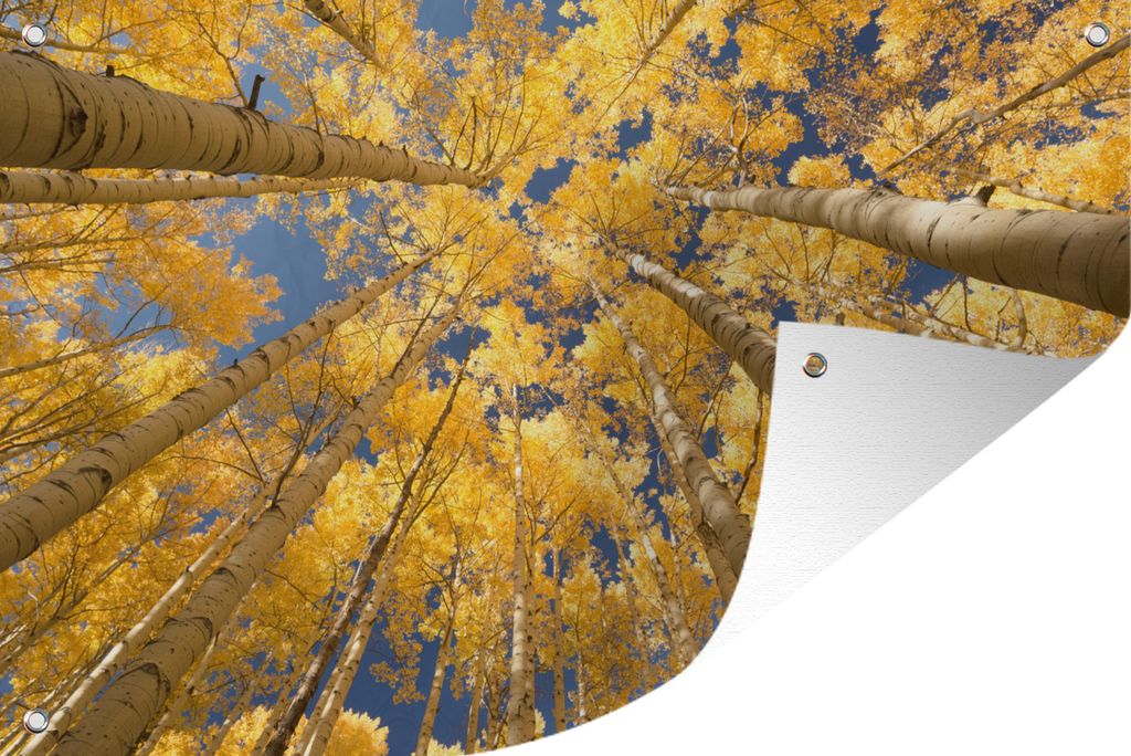 MuchoWow