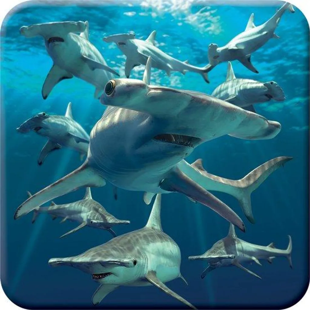 Tapis de verre 3D Requin Marteau en liège naturel et antidérapant