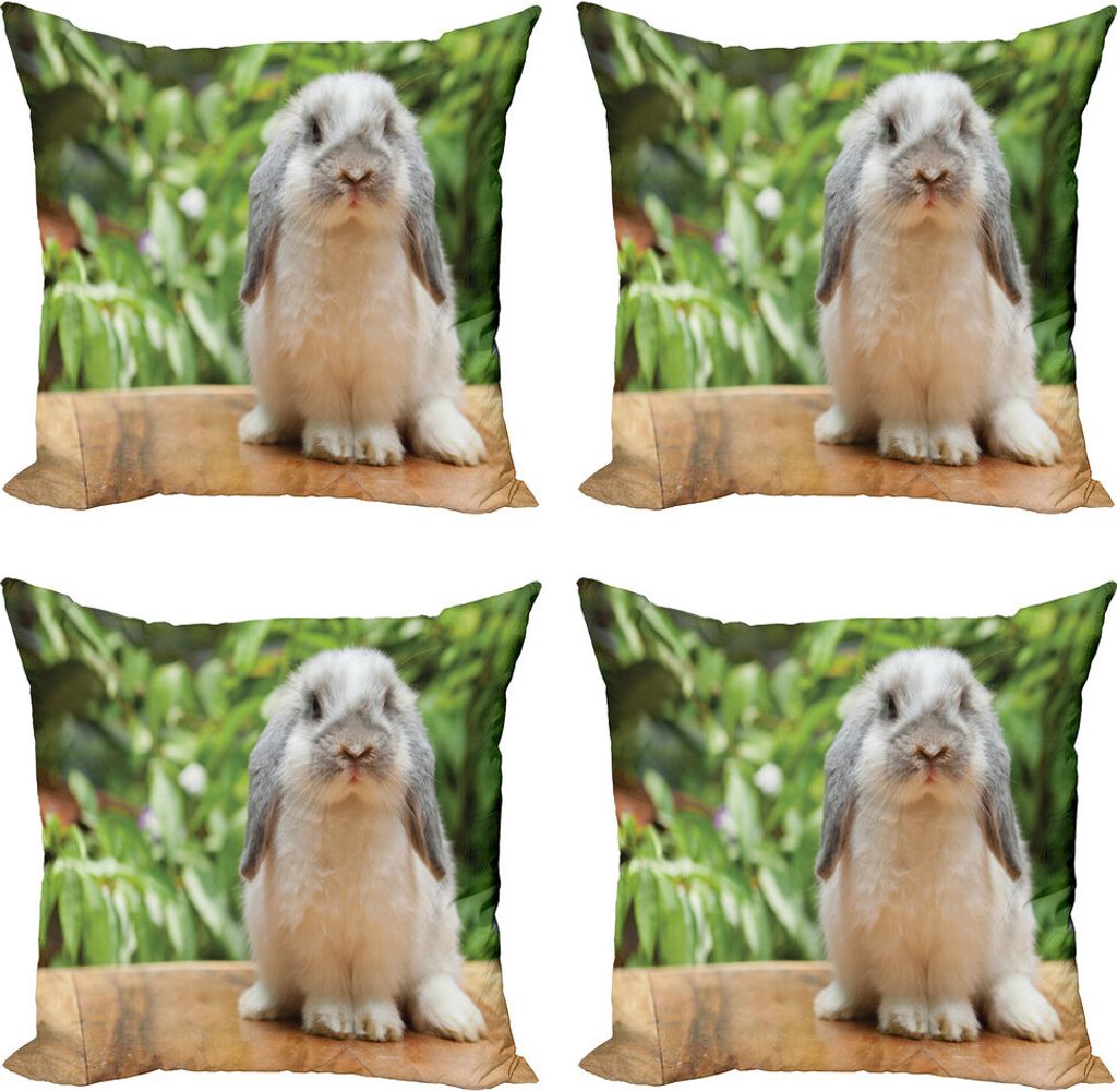 ABAKUHAUS Hase Kissenbezug Set (4 Stück), Foto von Holland Lop Rabbit, Moderner Doppelseitiger Digitaldruck, 60 cm x 60 cm, Mehrfarbig
