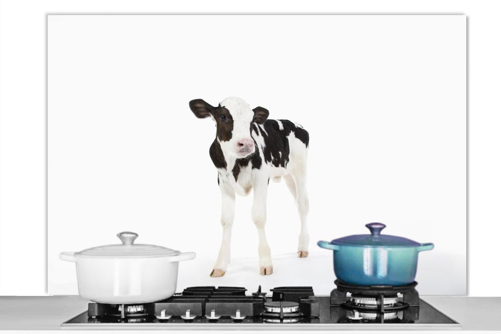 KitchenYeah Spritzschutz Küche - Küchenrückwand - Wandschutz für Herd und Spüle - Kuh - Kalb - Weiß - Tiere 120x80 - Alu-Dibond (Alternati...