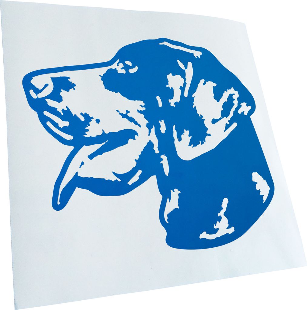 Kiwistar - Autoaufkleber - Pointer Hund - Blau - 40x33cm - Aufkleber für Auto, Laptop, Fahrrad, LKW, Motorrad mehrfarbig JDM Decal Racing