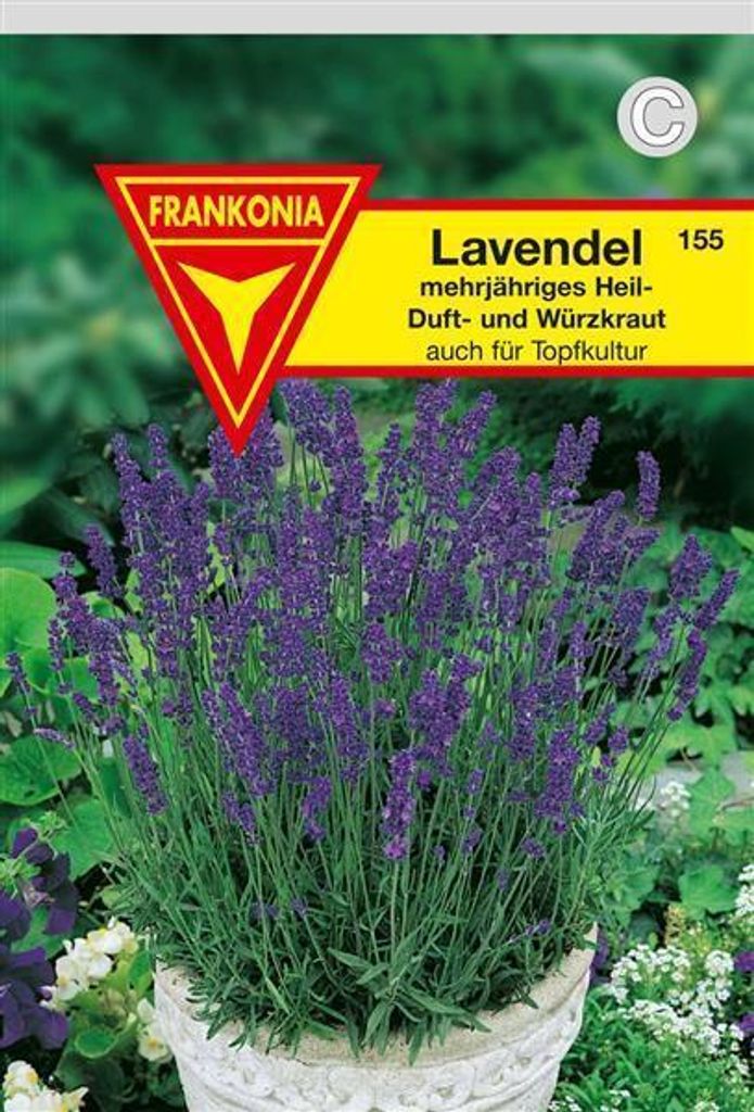 Lavendel Produktbild 