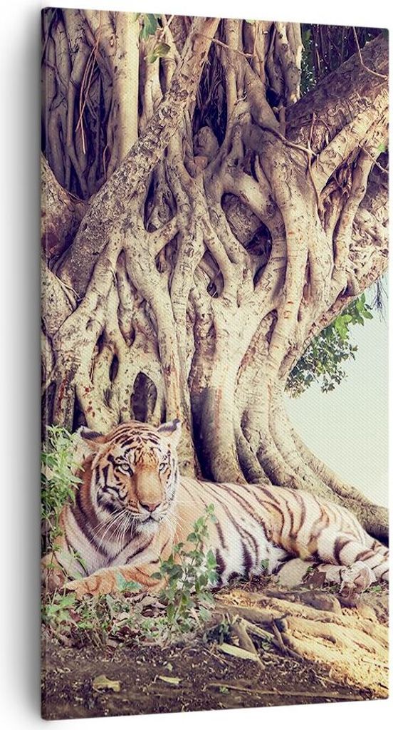 Bild auf Leinwand - Leinwandbild - Einteilig - Tiger Wild Baum - 55x100cm - Wand Bild - Wanddeko - Wandbilder - Leinwanddruck - Bilder - Wanddekora...