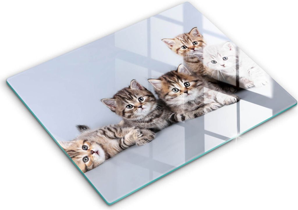 Glasschneideplatte - Herdabdeckplatte - 52x40 cm - Schneidebrett - Spritzschutz - Süße kleine Katzen