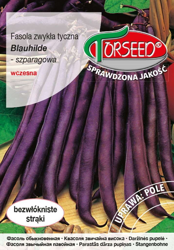 Samen Blauhilde 10g thia Bohne - Torseed Produktbild 