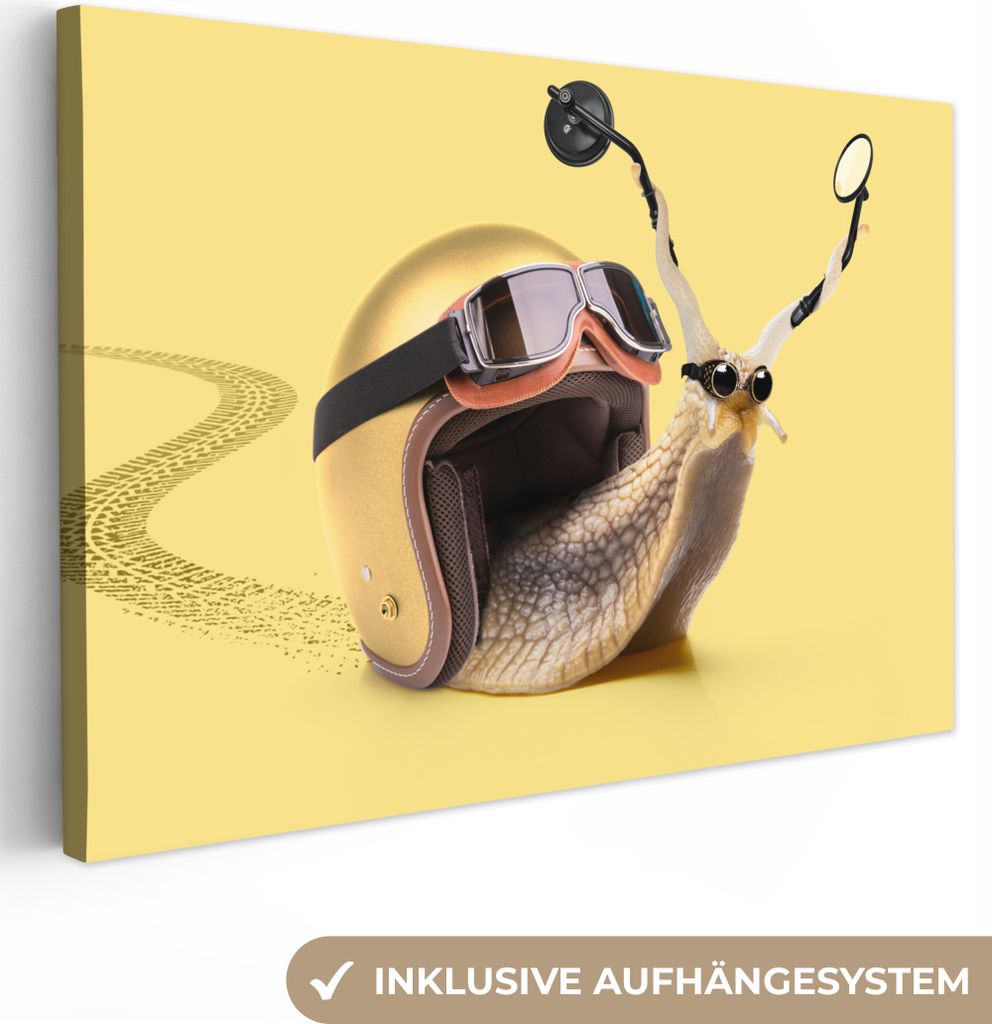 OneMillionCanvasses - Leinwandbilder - 150x100 cm, Schnecke - Tiere - Helm - Gelb - Spiegel, Wandbilder Kunstdruck Wanddekoration - Foto auf Lein...