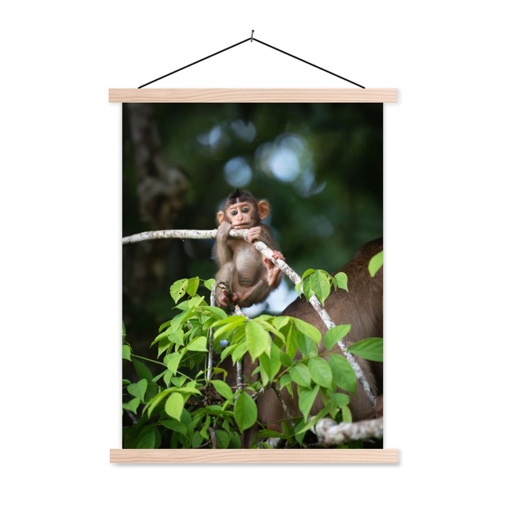 MuchoWow Textilposter Junger Affe hängt an einem Ast 40x53 cm mit holzfarbenen Rahmen - Schlafzimmer