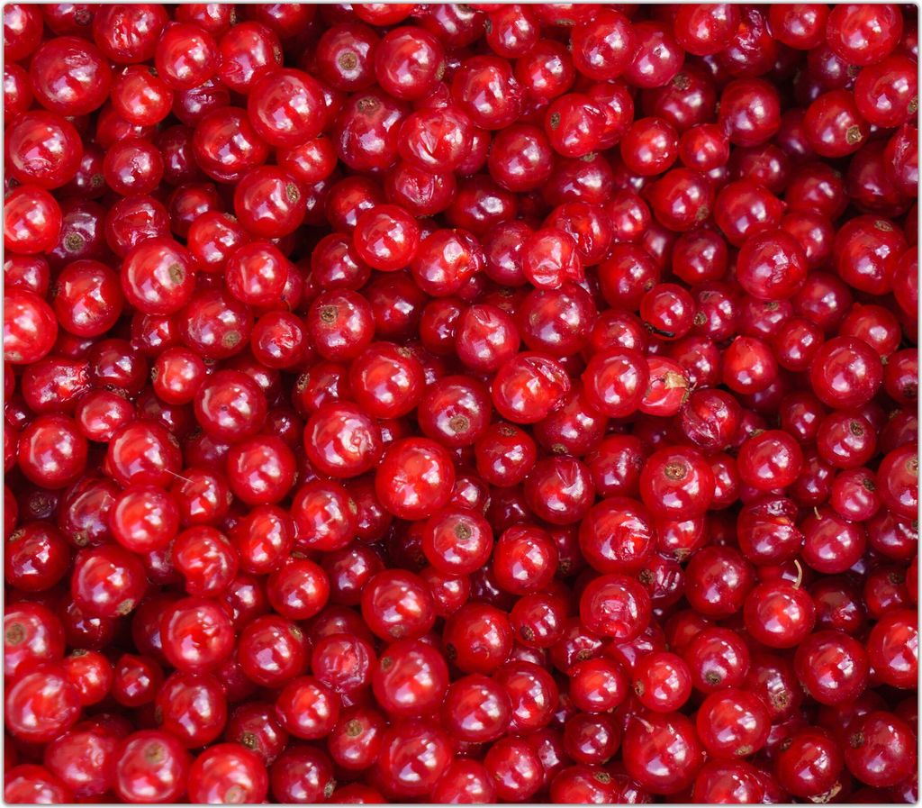 Spritzschutz Herdabdeckplatte Schneidebrett aus Glas Frische Johannisbeeren 1-Teilig (60x52cm)