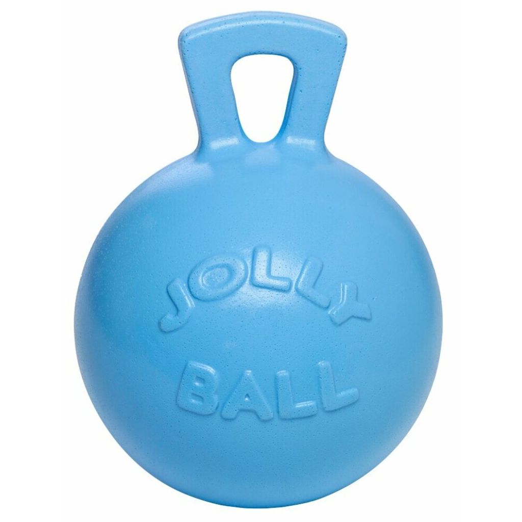 Jolly Ball H.blau " Waldberenduft" 25cm