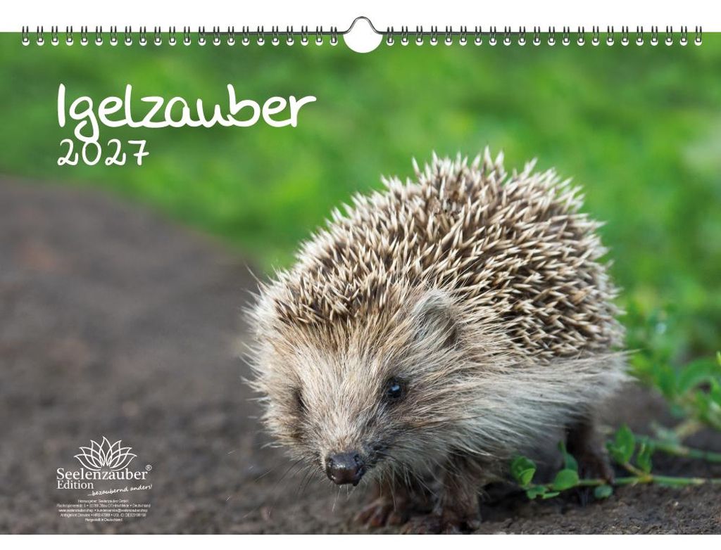 Igelzauber DIN A3 Kalender für 2027 Igel - Seelenzauber
