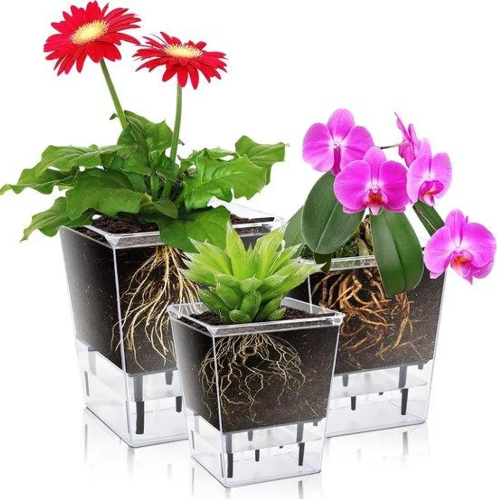 Pot de fleurs moderne à réserve d'eau et cordon osier pour lys de paix