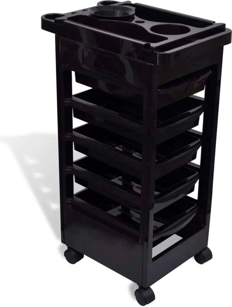 Chariot coiffure vidaXL plastique rigide 5 tiroirs et roues silencieuses