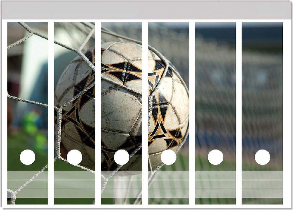 Wallario Ordnerrücken Sticker, selbstklebend für breite Ordner, 6 Stück, Motiv Fußball - Ball im Tor - Bolzplatz