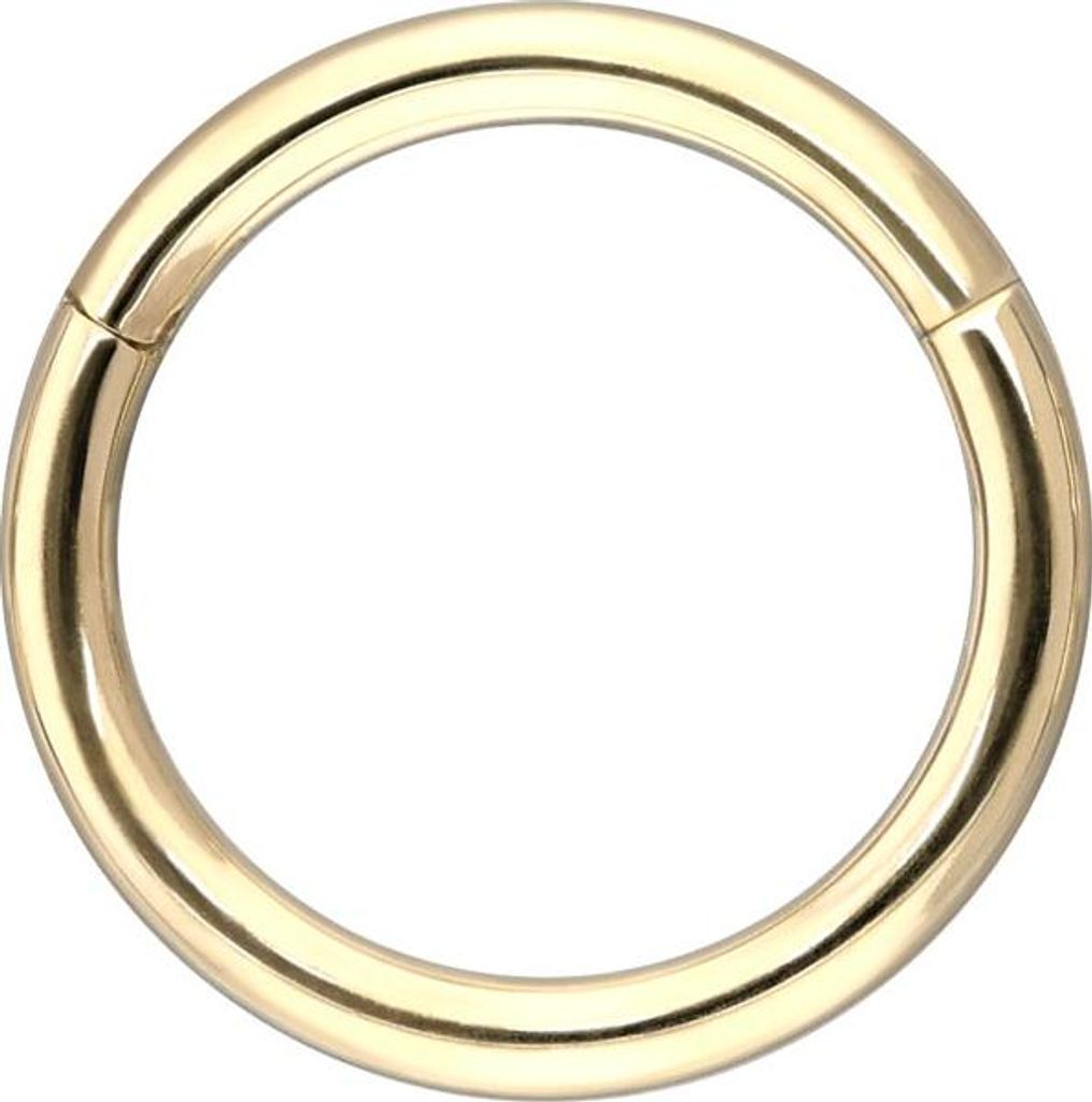 Ohrpiercing, Nasenpiercing, Septum Piercing 14/18 Karat Gold Segmentring Clicker 18 Karat | Gold Innendurchmesser: 8mm | Stabstärke: 1,2mm