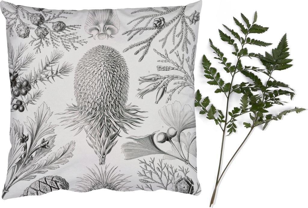 MuchoWow Zierkissen Sofakissen Wohnzimmer Dekokissen 50x50 cm Koniferen - Ernst Haeckel - Kunst - Retro - Illustration - Natur - Komfort - Sofaki...