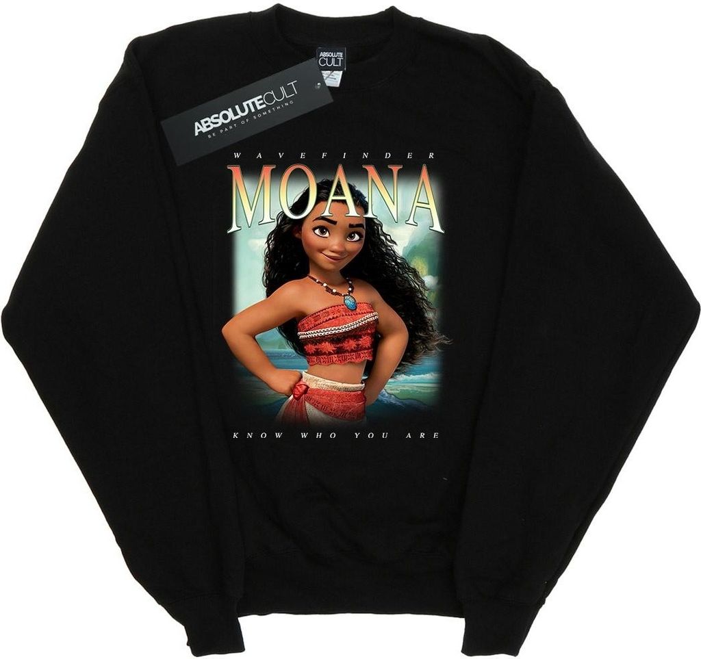 Disney - Sweatshirt für Herren BI49216 (L) (Schwarz)