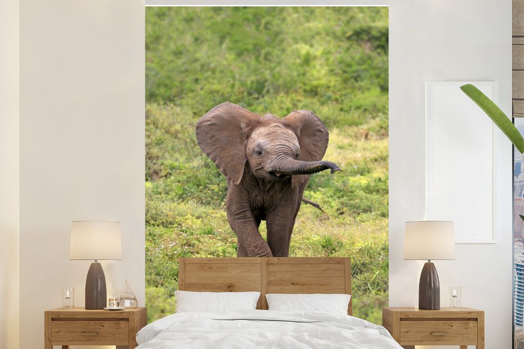 MuchoWow Fototapete für Wohnzimmer oder Schlafzimmer Wandtapete Vinyl Motivtapete Afrikanisches Elefantenbaby im Gras - 155x240 cm - Tapete